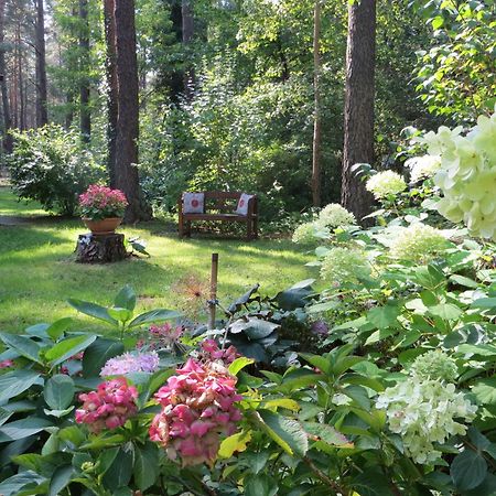 Kastavengrund - Ferienhaeuser Mit Kamin Lychen Esterno foto